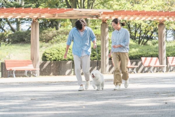 50代からの孤独と出会い。シニア婚活の「情報」